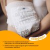 Brand For My Son Трусики, M 6-11 кг, 42 штуки