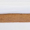 PITUSO Матрац детский беспружинный "Coconut-Lux-Late"140х80х12см hollcon 3000/ жаккард стеганный