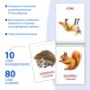 Книги «Карточки Домана на английском языке», набор 8 шт. по 24 стр.