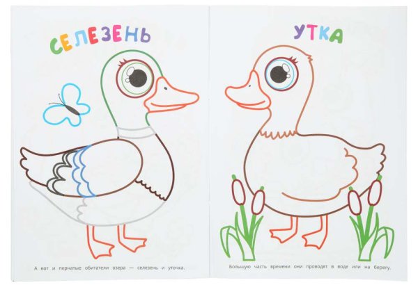 Умка Раскраска «Кто живёт на ферме?» из серии «Первая раскраска»