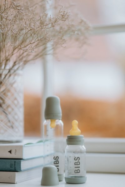 BIBS Бутылочка для кормления  Baby Bottle Complete Set - Sage 110 ml