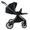 PITUSO Коляска 2в1 Mayla Plus короб+прогул (Black/Graphite)