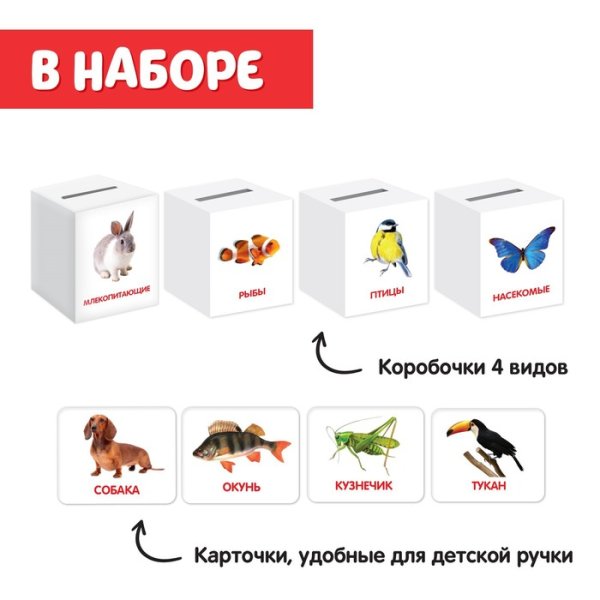 IQ-Zabiaka Сортер-копилка "Животные" по методике Г. Домана