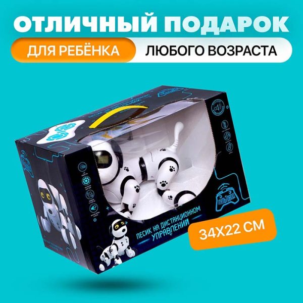 Робот "Песик", на дистанционном управлении