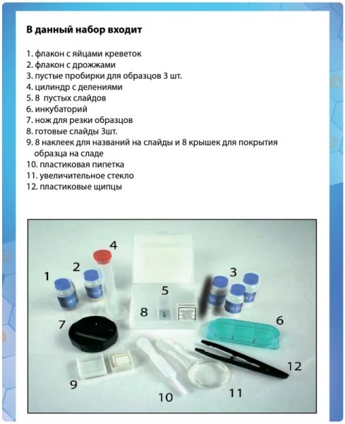 Bondibon Набор для опытов Науки с Буки "Дуоскоп"