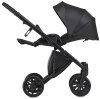 Anex Коляска 2 в 1 e/type / цвет Swan (черный)
