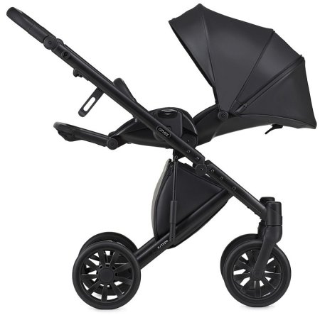 Anex Коляска 2 в 1 e/type / цвет Swan (черный)