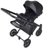 Anex Коляска 2 в 1 e/type / цвет Swan (черный)