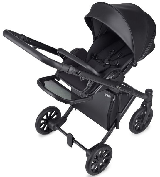 Anex Коляска 2 в 1 e/type / цвет Swan (черный)
