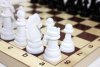 Игра настольная "Шахматы"