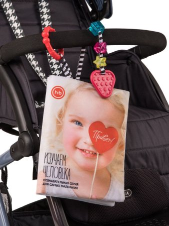 Happy Baby Книжка-игрушка Изучаем человека / разноцветный