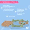 Roxy-Kids Прорезыватель Meow Teether RMT-006/цвет оливковый