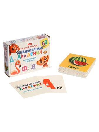 Развивающие карточки «Познавательная академия», 60 шт.
