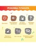 ZABIAKA Обучающий плакат "Эпоха динозавров"   5148291  – внешний вид и детали