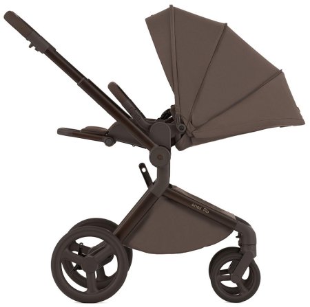 Детская коляска ANEX Flo 2in1  ((fl-07c) Browny)