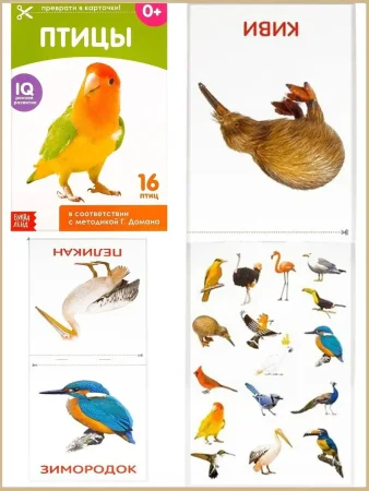 Набор обучающих книг по методике Г. Домана 8 шт "Окружающий мир"  20 стр. 3445453
