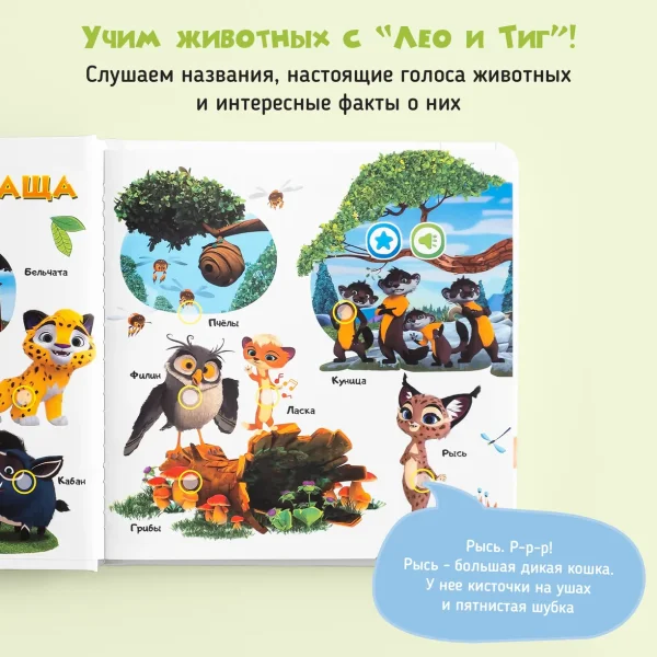 BertToys Говорящая книжка Нажималка маленькая "Учимся с мультяшками"