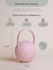 Paomma Контейнер для пустышки/ цвет Zephyr