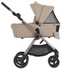 Anex Коляска 2 в 1 IQ / цвет Seal (бежевый)