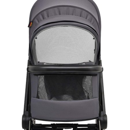 Labala Коляска Raiz 2в1 /цвет Anthrazit