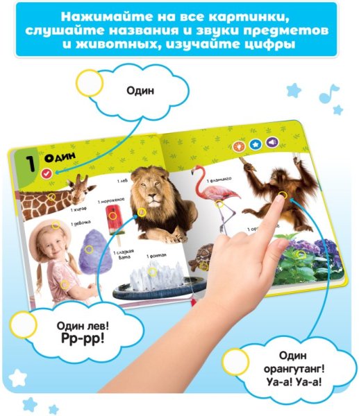 BertToys Говорящая книга «Нажималка. Цифры»