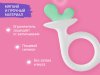 Roxy-Kids Набор силиконовых прорезывателей «Fruity»
