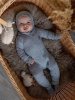 (м)НВ8000 Комбинезон на молнии,Серый (р. 68-74)