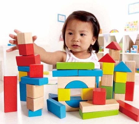 Hape Конструктор деревянный, 50 элементов