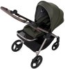 Anex Коляска 2 в 1 iQ Premium / цвет Richi (темно-зеленый)