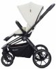 Labala Прогулочная коляска Raiz 2023 / цвет White/black (бело-черный)