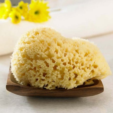 Ok Baby Губка натуральная морская №10 Honeycomb