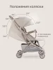 Коляска прогулочная AIRA (warm grey)