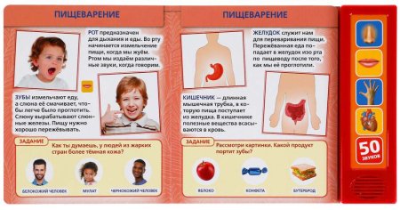 Умка Говорящая энциклопедия «Тело человека»  – внешний вид и детали