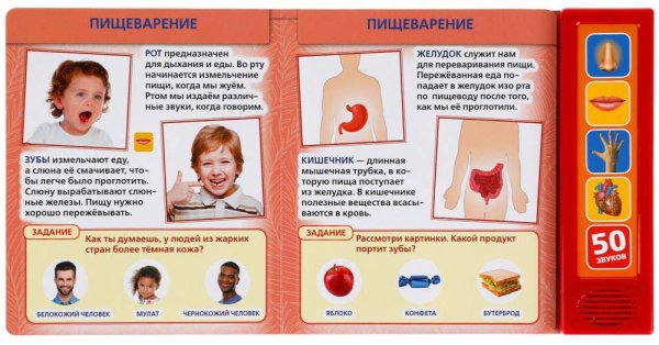 Фото товара Умка Говорящая энциклопедия «Тело человека» 