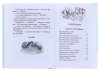 Росмэн Книга "Все про Дедморозовку", Андрей Усачев  – внешний вид и детали