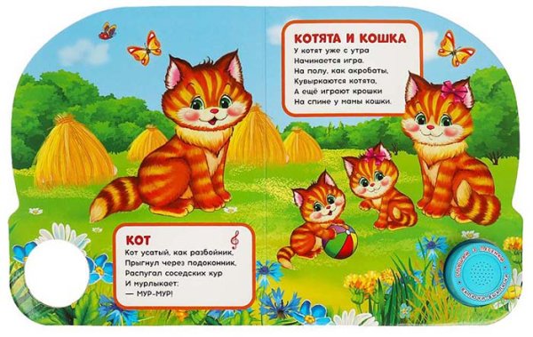 Фото товара Умка Музыкальная книга «В. А. Степанов. Гав-гав» 