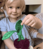 Oli & Carol Набор для детского творчества DIY MERY THE CHERRY (Вишенка Мэри)