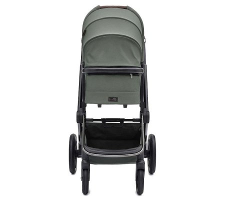 Labala Коляска Raiz 2в1/ цвет Green(зеленый)