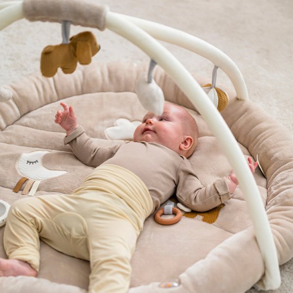 Nattou (Наттоу) Коврик детский игровой круглый CHARLIE Собачка 388238