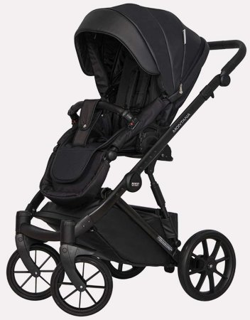 Riko Basic Коляска 2 в 1 Montana Ecco / цвет Black (черный)