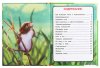Умка Книга «В. Бианки. Мышонок Пик»  – внешний вид и детали