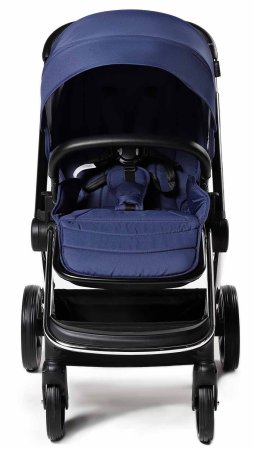 Labala Коляска Raiz 2 в 1 / цвет Blue (синий)