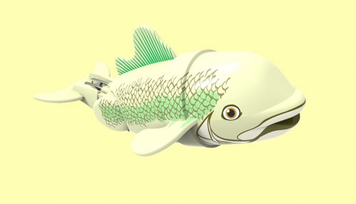Рыбка-акробат Бубба