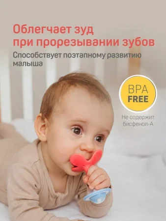 PIGEON Прорезыватель-погремушка Munch teether, 3+ месяцев.