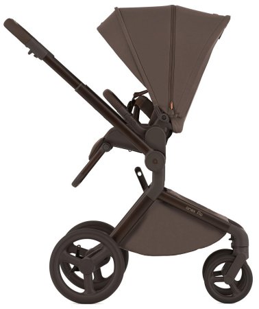 Детская коляска ANEX Flo 2in1  ((fl-07c) Browny)