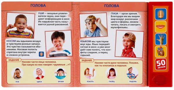 Фото товара Умка Говорящая энциклопедия «Тело человека» 