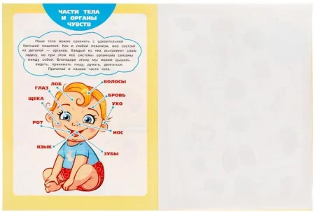 Книга с наклейками "Умка" Тело человека.