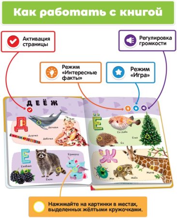 BertToys Говорящая книга «Нажималка. Русский алфавит»