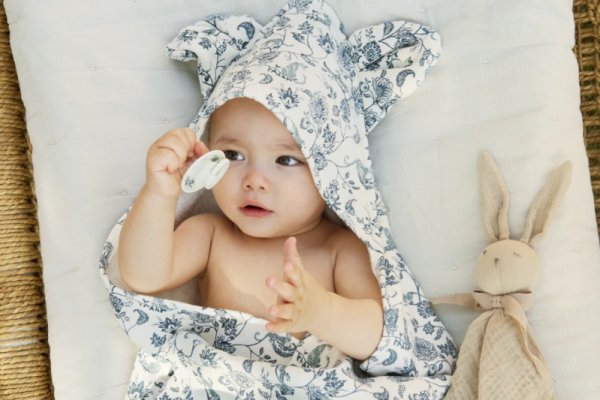 Elodie Пустышка силиконовая Retro Binky Bundle, 0-6 месяцев, 2 штуки Garden Leo Toile