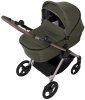 Anex Коляска 2 в 1 iQ Premium / цвет Richi (темно-зеленый)